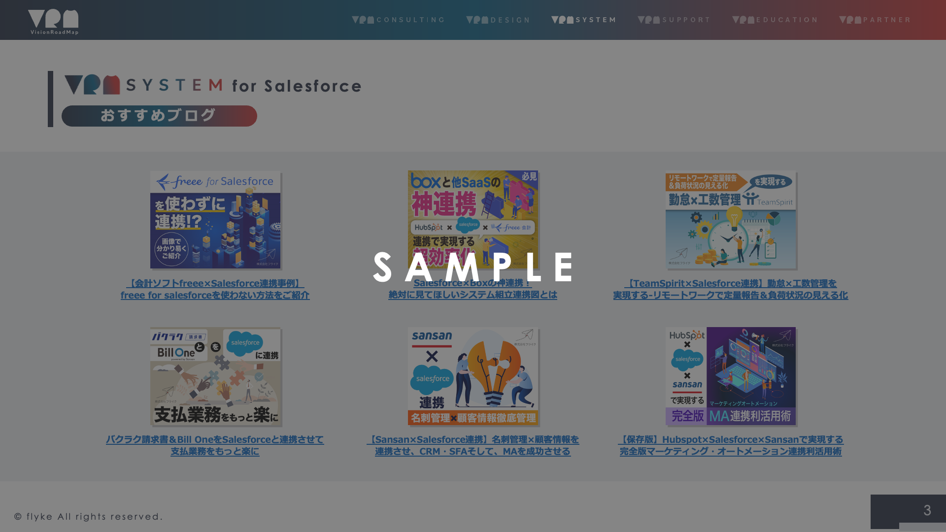 VRM_System_for_Salesforce3